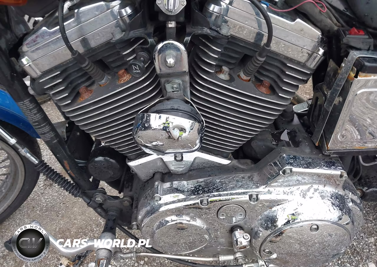 2002 Harley-Davidson Xl1200 C VIN:1HD1CGP172K161065 - 9