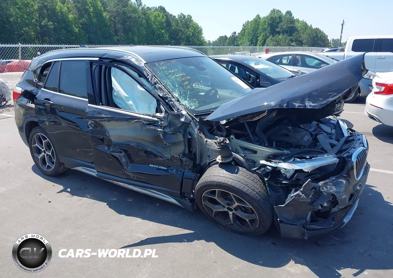 2017 BMW X1 Sdrive28I – zdjęcie 1 z 16