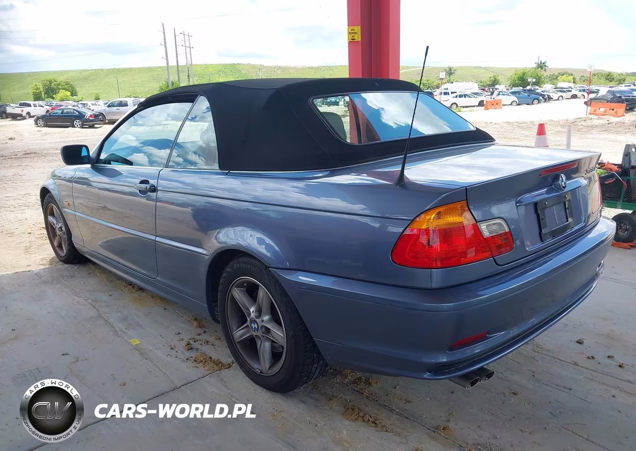 2002 BMW 325 Ci VIN:WBABS334X2PG88117 - 3