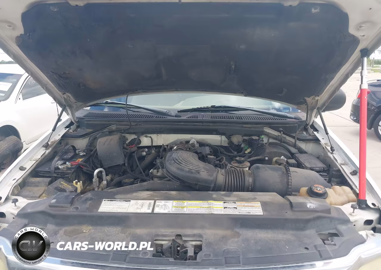 1999 Ford Expedition Eddie Bauer-Xlt VIN:1FMRU1767XLA69008 - 10