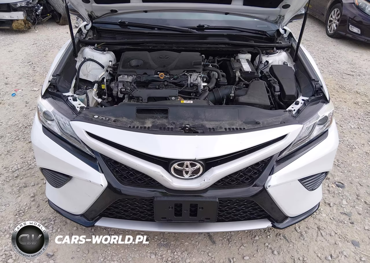 2019 Toyota Camry Xse VIN:4T1B61HK5KU281884 - 10