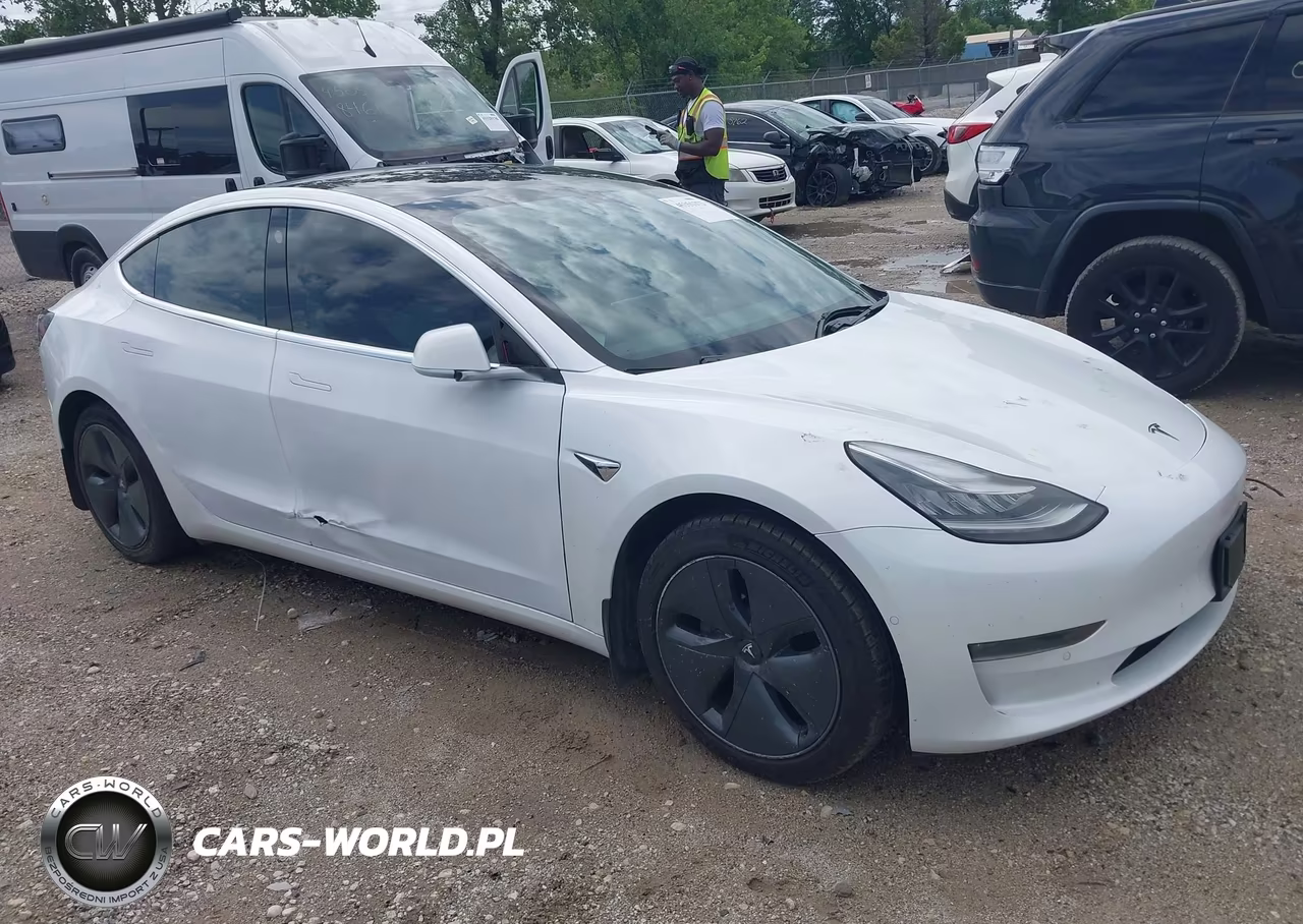 2019 Tesla Model 3 Long Range-Performance