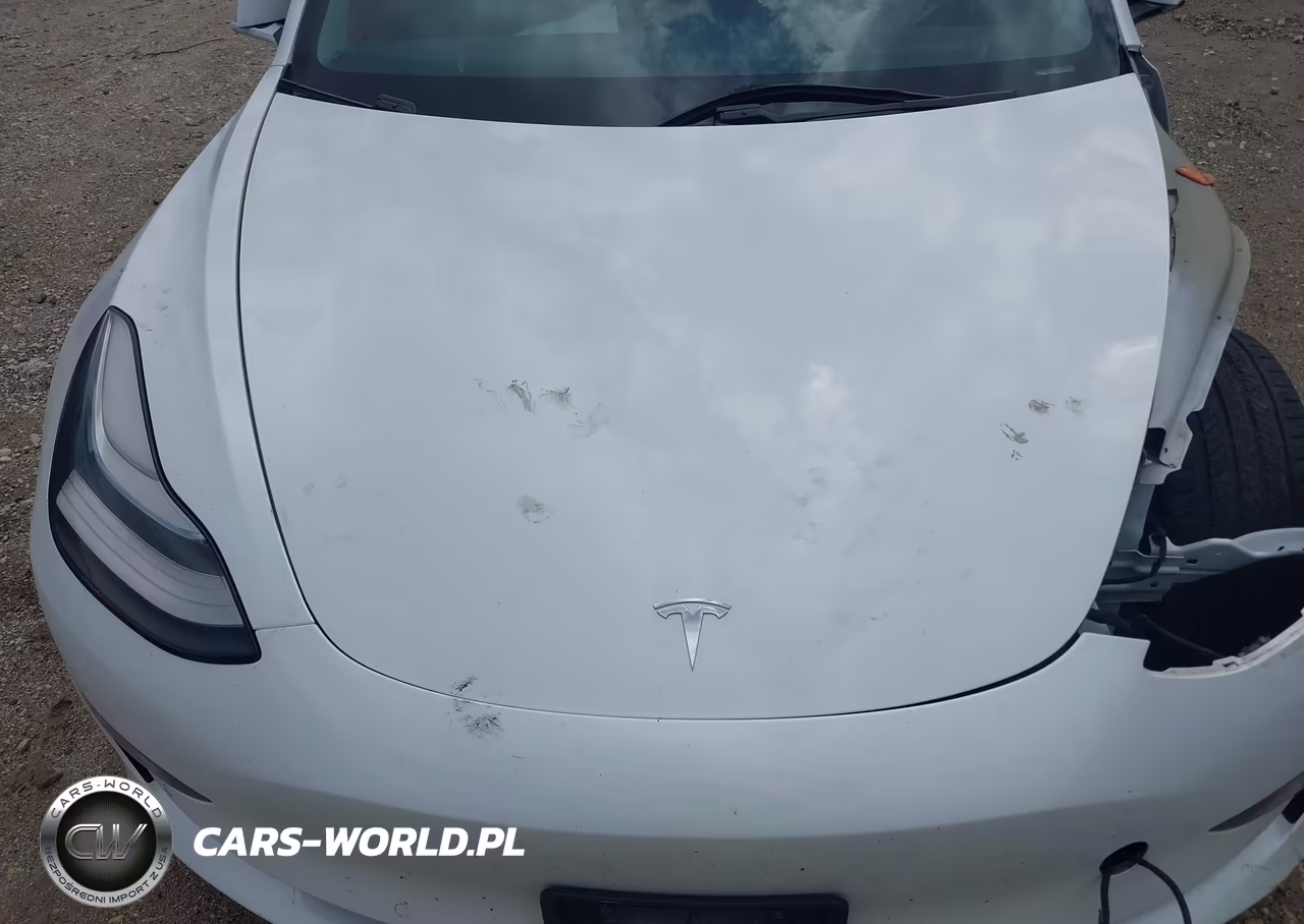 2019 Tesla Model 3 Long Range-Performance VIN:5YJ3E1EB8KF511538 - 10