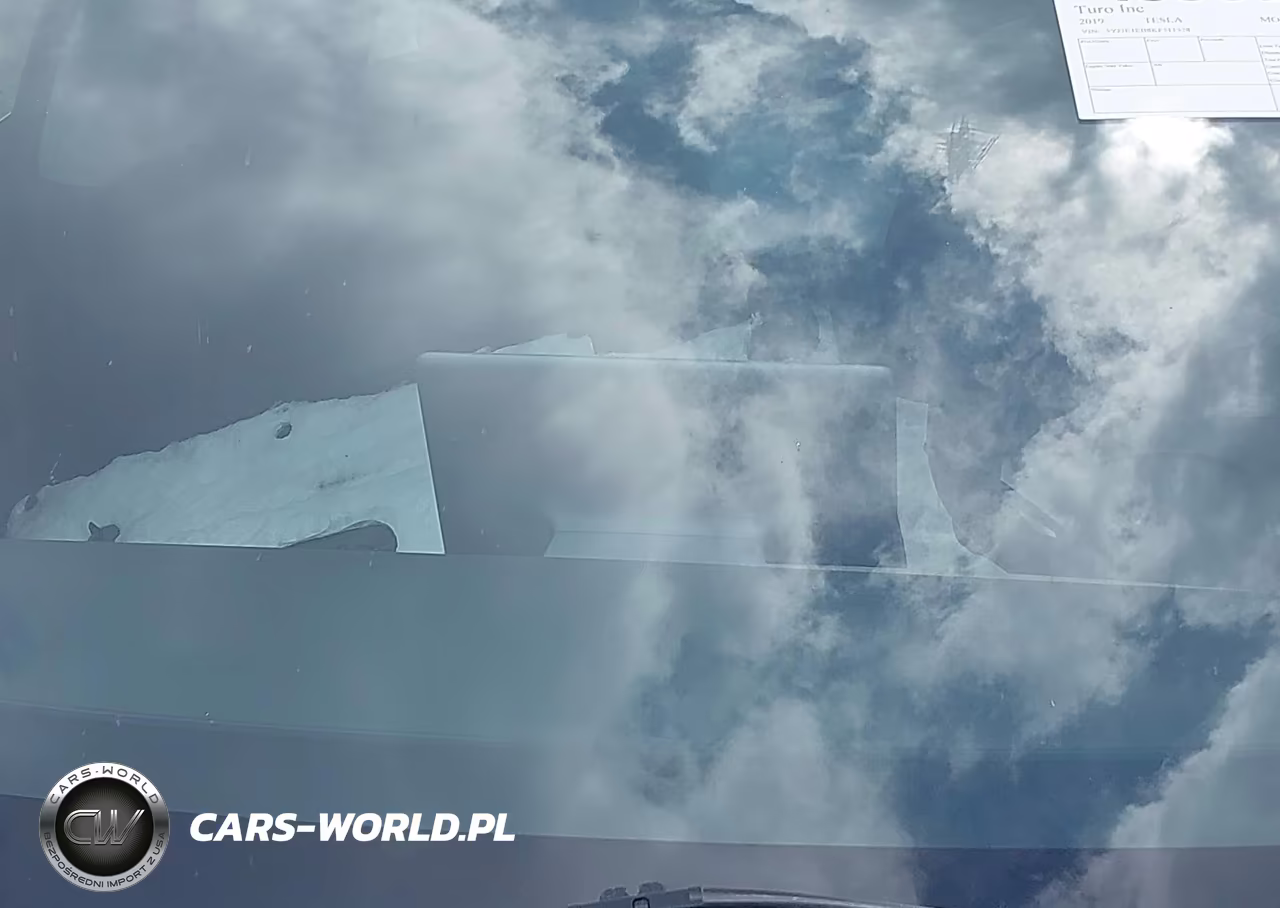 2019 Tesla Model 3 Long Range-Performance VIN:5YJ3E1EB8KF511538 - 16