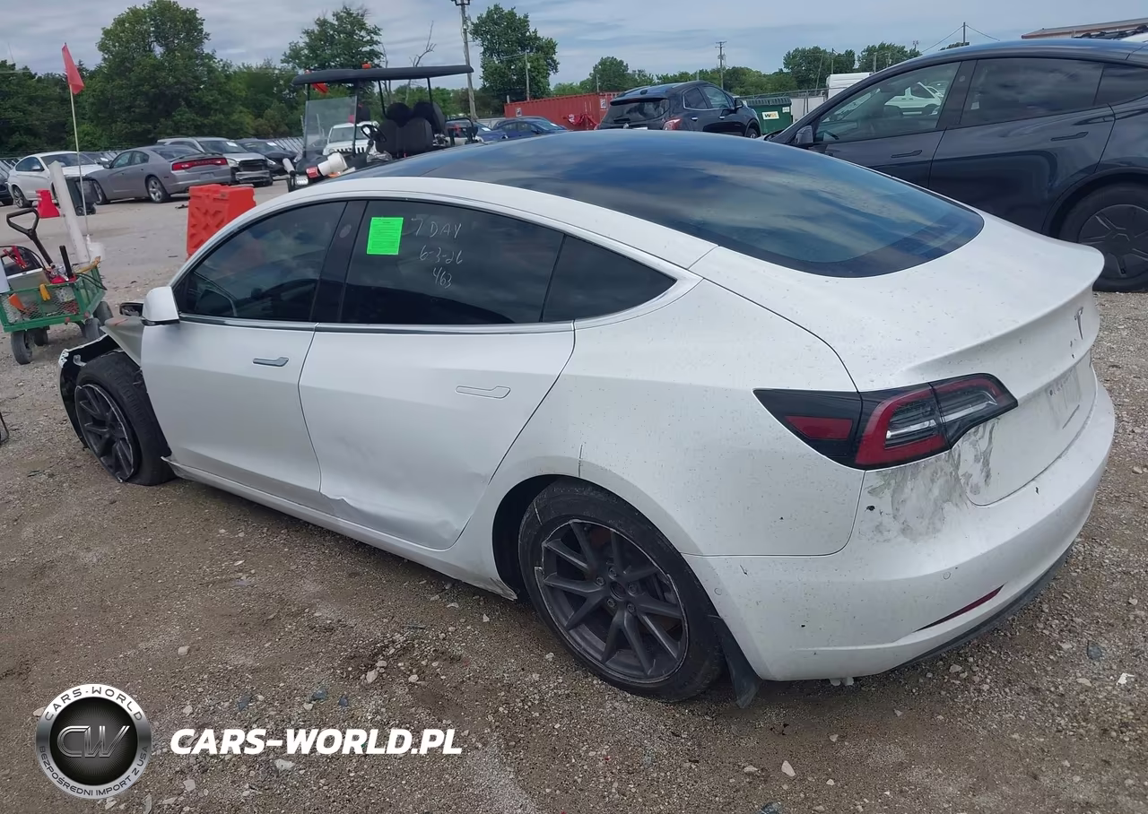 2019 Tesla Model 3 Long Range-Performance VIN:5YJ3E1EB8KF511538 - 3