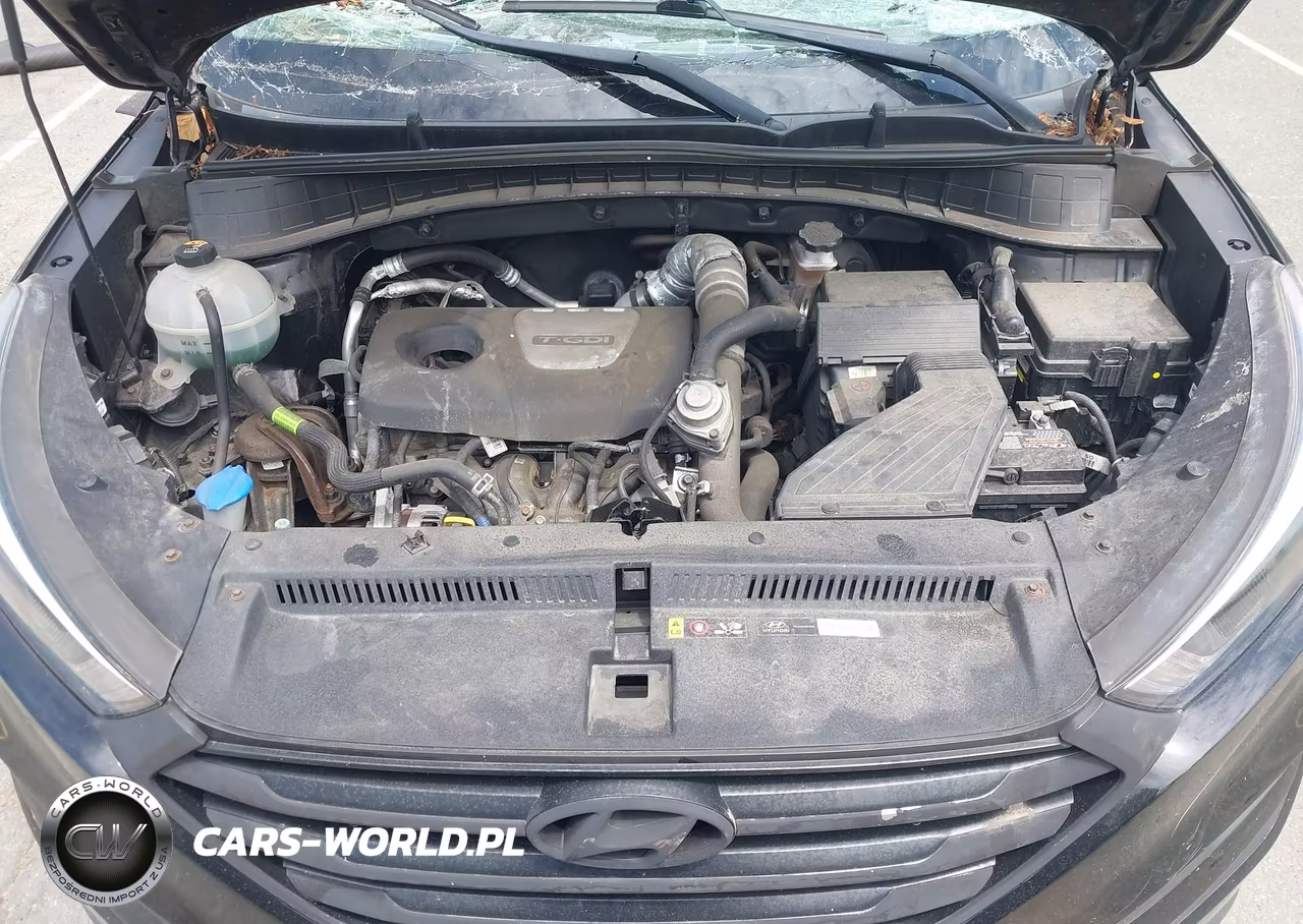 2018 Hyundai Tucson Value VIN:KM8J3CA26JU796174 - 10