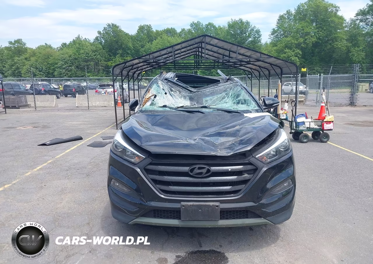 2018 Hyundai Tucson Value VIN:KM8J3CA26JU796174 - 12