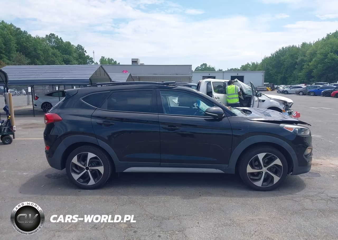 2018 Hyundai Tucson Value VIN:KM8J3CA26JU796174 - 13
