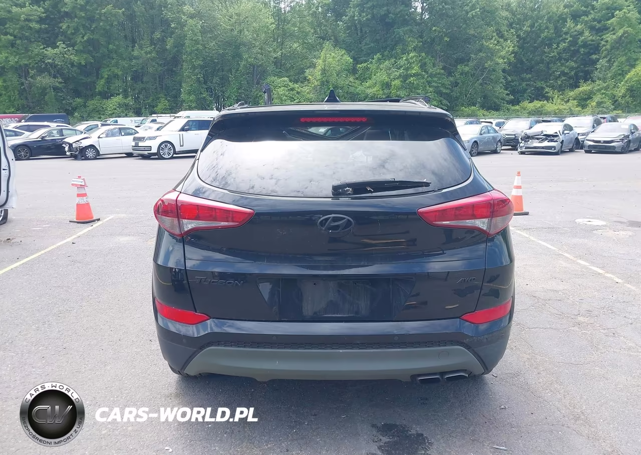 2018 Hyundai Tucson Value VIN:KM8J3CA26JU796174 - 16