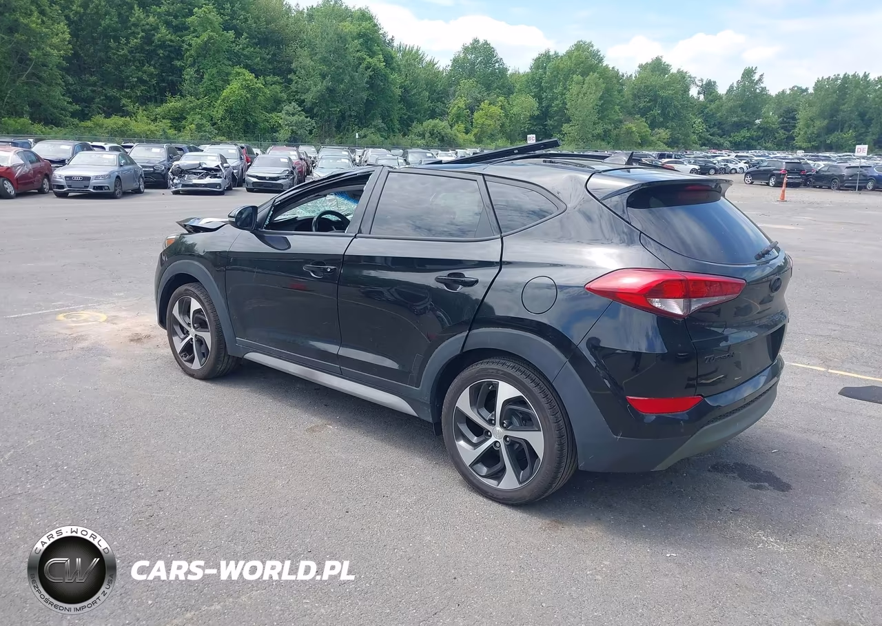 2018 Hyundai Tucson Value VIN:KM8J3CA26JU796174 - 3