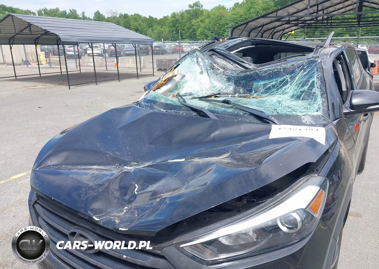 2018 Hyundai Tucson Value VIN:KM8J3CA26JU796174 - 6