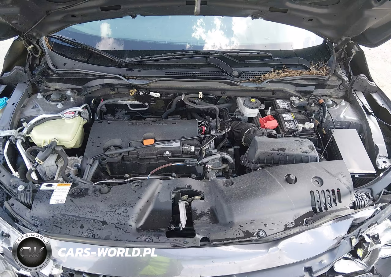 2017 Honda Civic Lx VIN:2HGFC2F53HH501859 - 10
