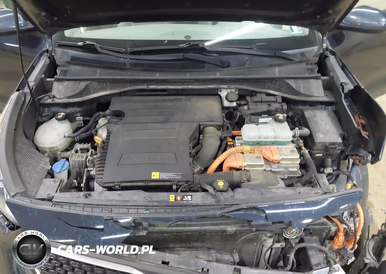 2019 Kia Niro Plug-In Hybrid Lx VIN:KNDCM3LD8K5236175 - 10