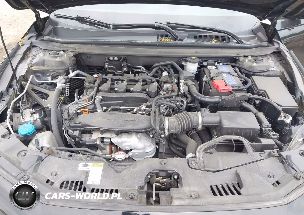 2024 Honda Accord Ex VIN:1HGCY1F3XRA057926 - 10