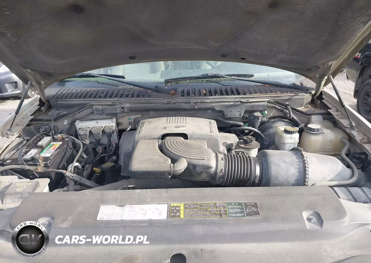 2004 Ford Expedition Nbx-Xlt VIN:1FMPU16L64LB29743 - 10