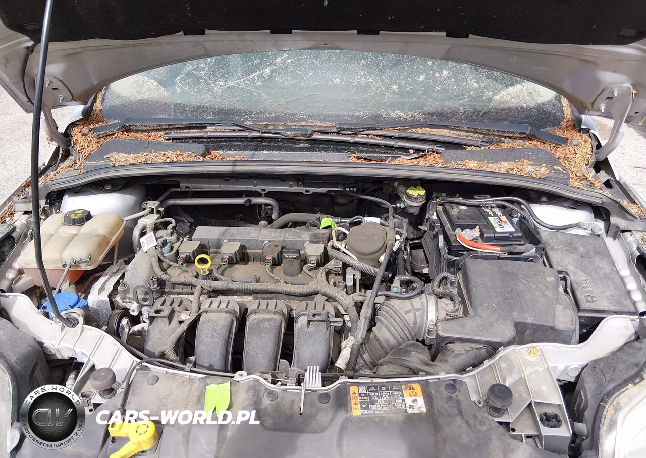 2014 Ford Focus Se VIN:1FADP3F26EL443157 - 10