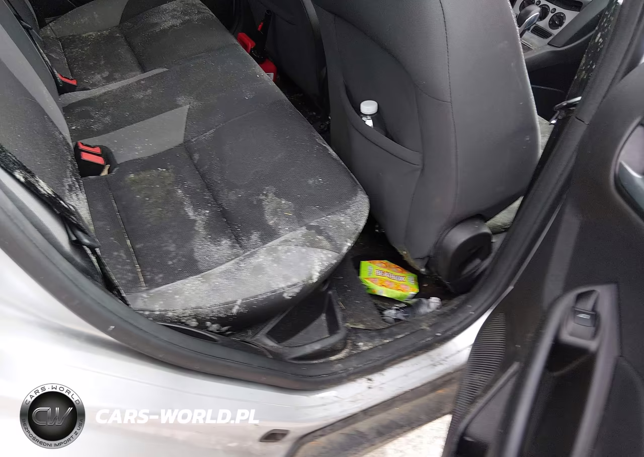2014 Ford Focus Se VIN:1FADP3F26EL443157 - 13