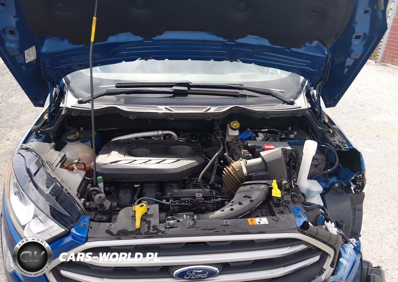 2018 Ford Ecosport Se VIN:MAJ6P1UL3JC182685 - 10