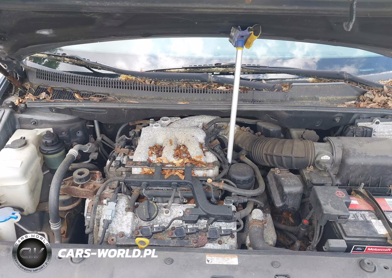 2008 Kia Sedona Lx VIN:KNDMB233686256861 - 10