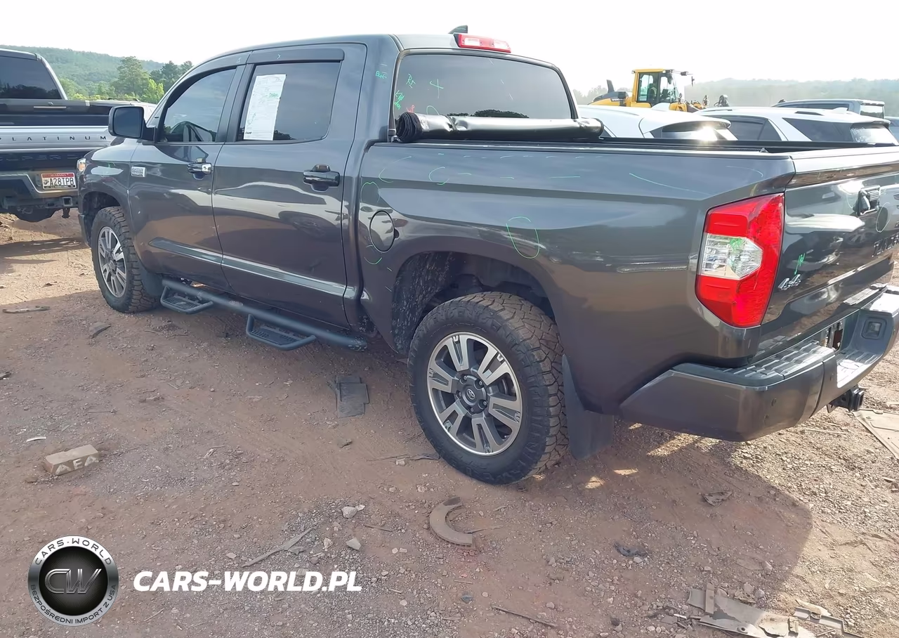 2020 Toyota Tundra Platinum VIN:5TFAY5F14LX936998 - 3