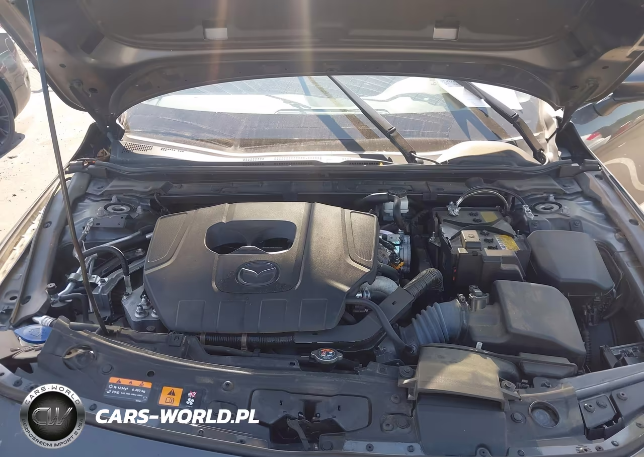 2024 Mazda Mazda3 2.5 S Preferred VIN:JM1BPALM0R1701766 - 10