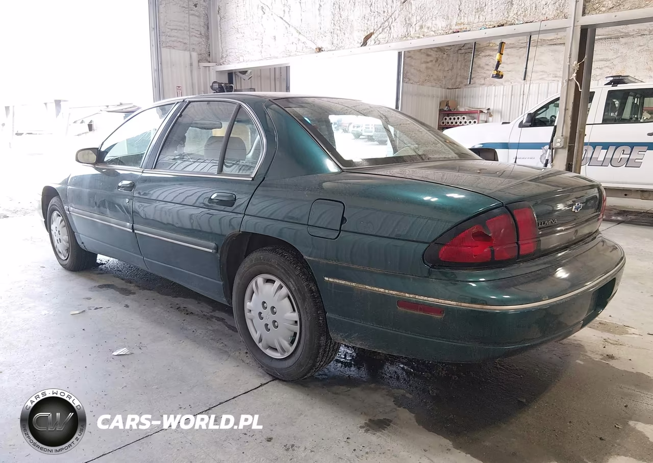 1998 Chevrolet Lumina VIN:2G1WL52M2W1109385 - 3