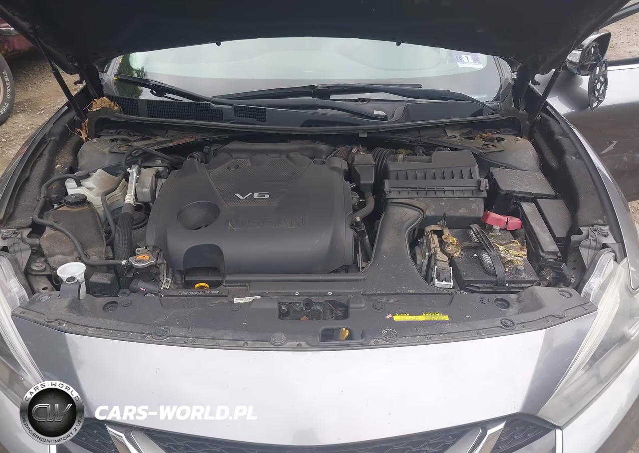 2016 Nissan Maxima 3.5 Sl VIN:1N4AA6AP3GC376593 - 10