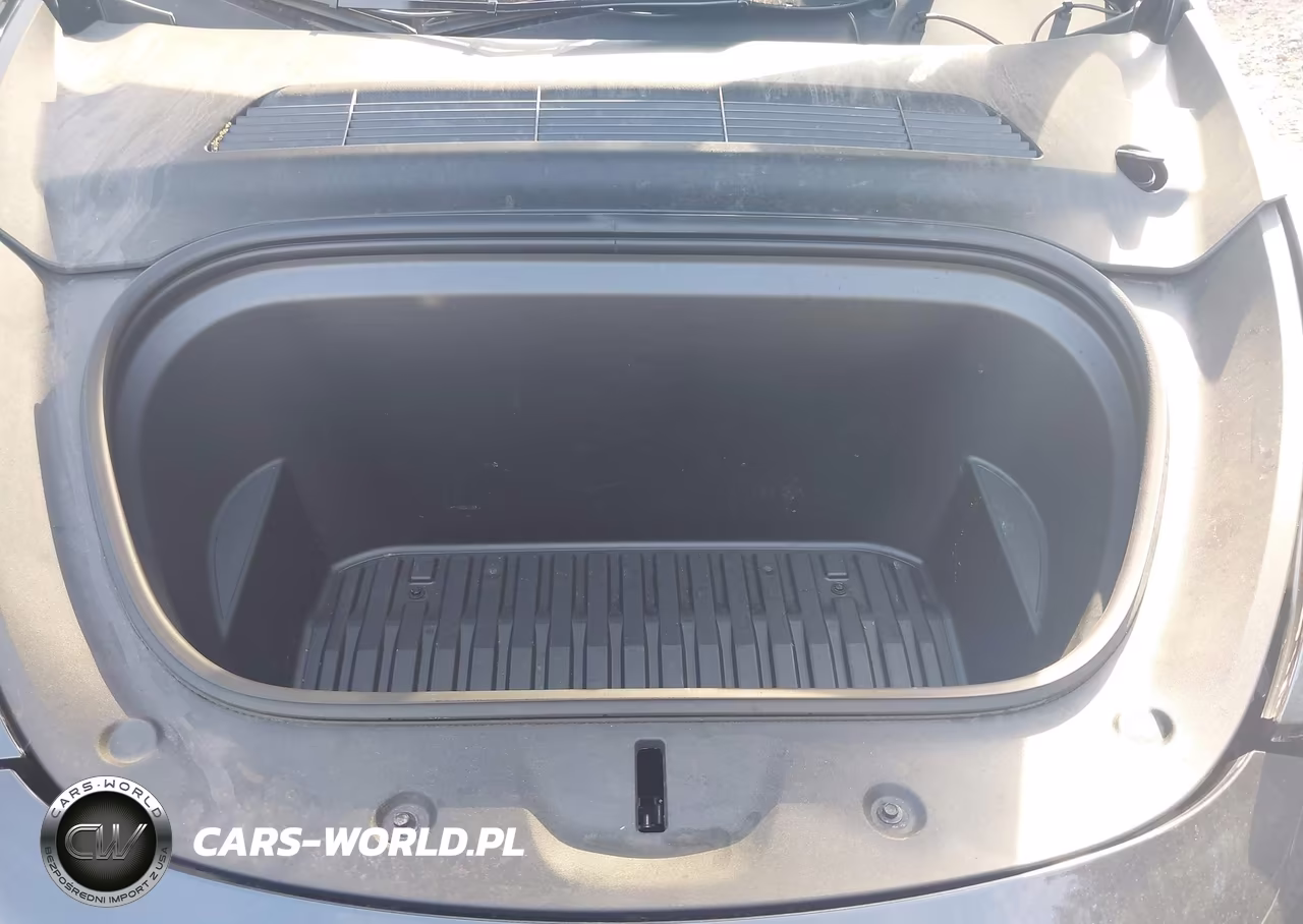 2025 Tesla Model Y Long Range Dual Motor Rear-Wheel Drive VIN:7SAYGDED6SF269807 - 10