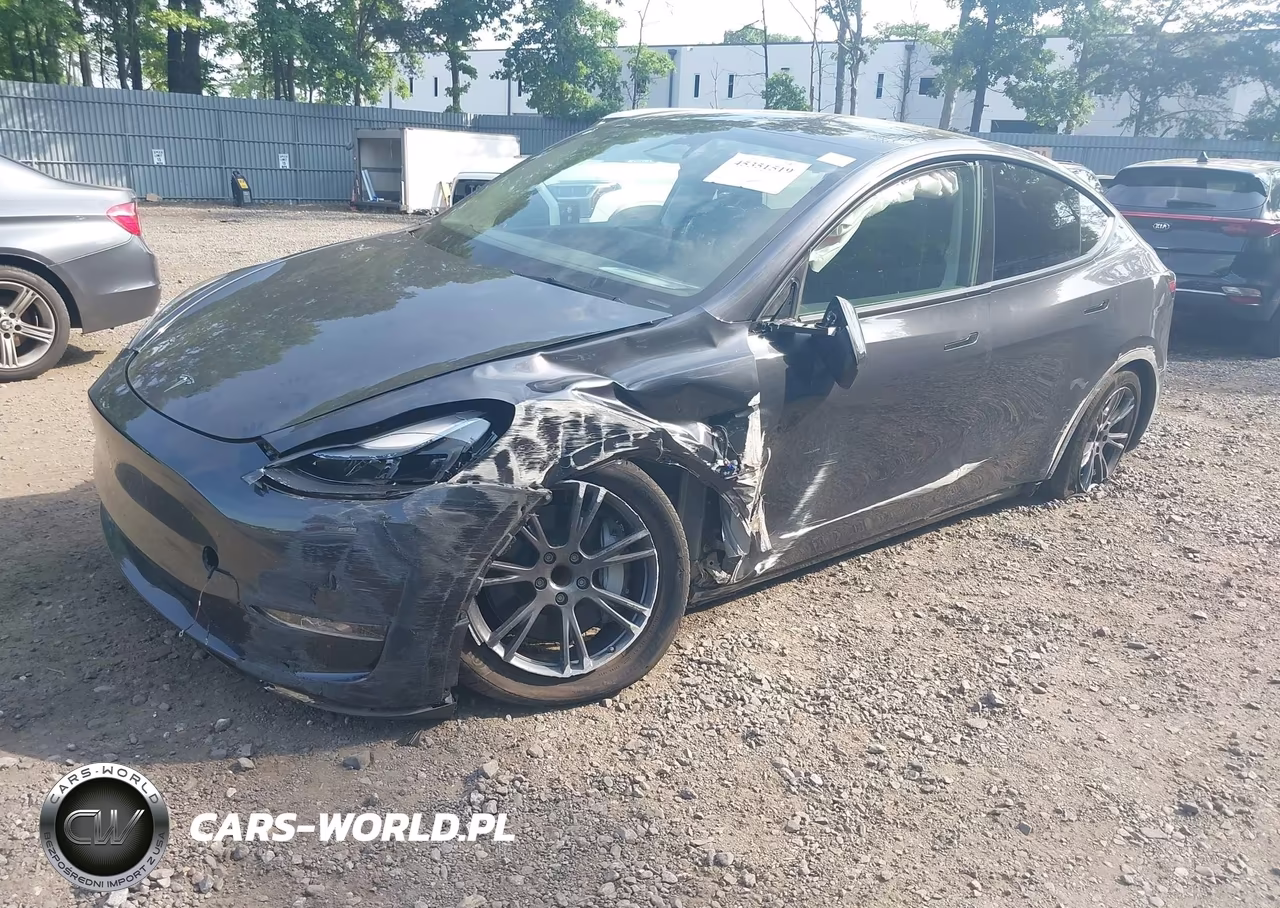 2025 Tesla Model Y Long Range Dual Motor Rear-Wheel Drive VIN:7SAYGDED6SF269807 - 2