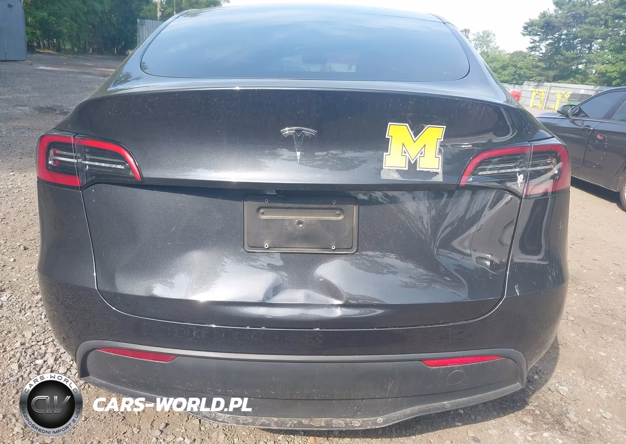 2025 Tesla Model Y Long Range Dual Motor Rear-Wheel Drive VIN:7SAYGDED6SF269807 - 20