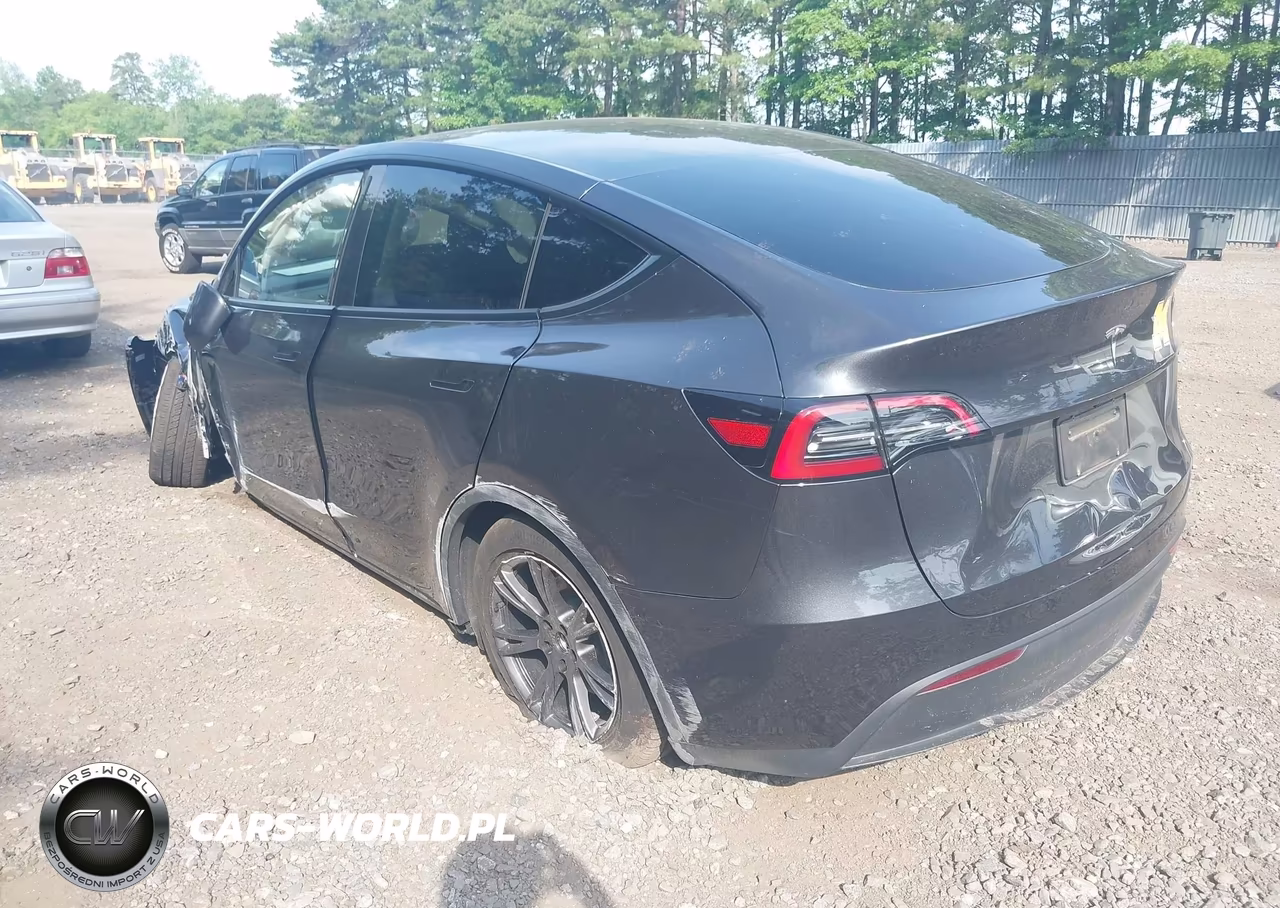 2025 Tesla Model Y Long Range Dual Motor Rear-Wheel Drive VIN:7SAYGDED6SF269807 - 3