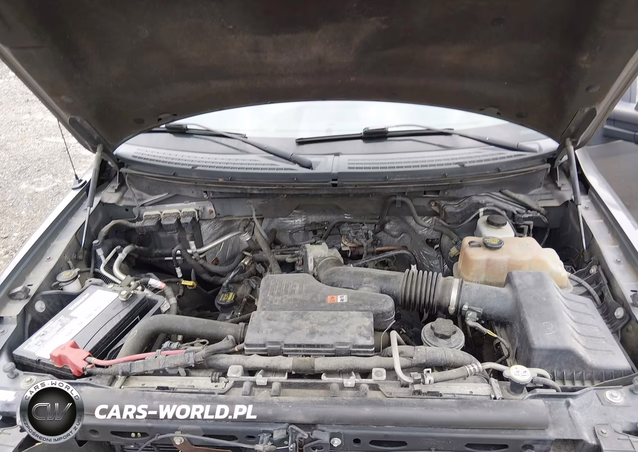 2010 Ford F-150 Stx-Xl VIN:1FTEX1EW4AFB37459 - 10