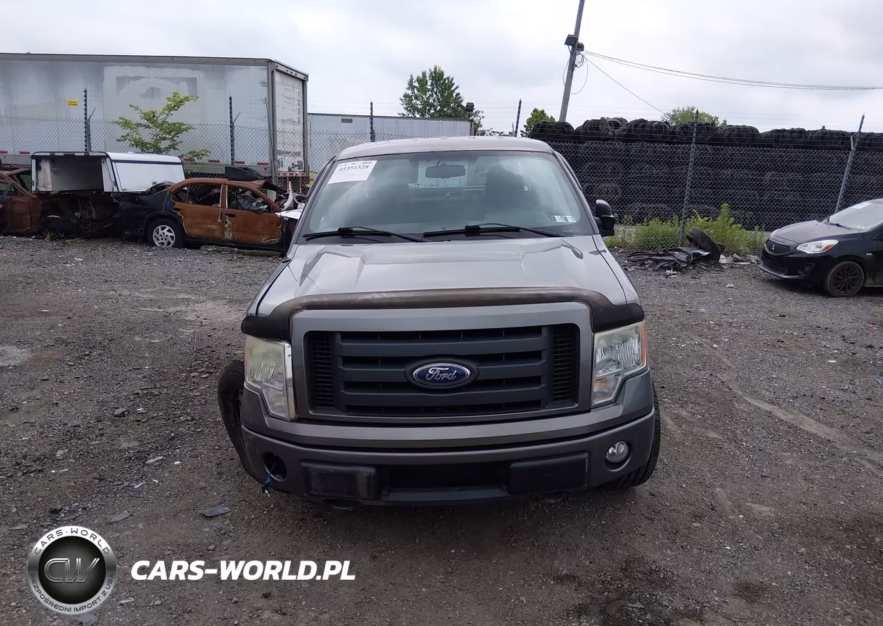 2010 Ford F-150 Stx-Xl VIN:1FTEX1EW4AFB37459 - 12