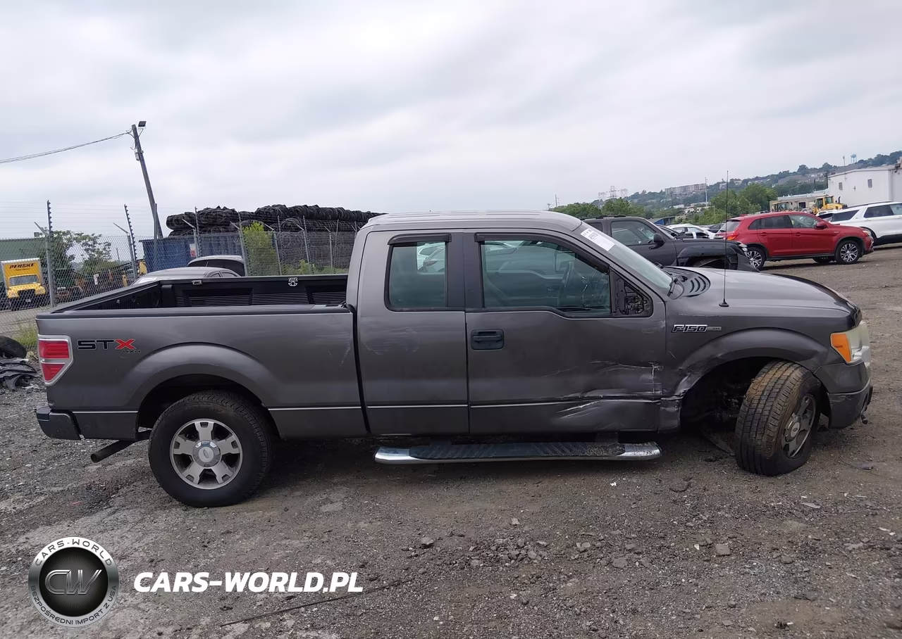 2010 Ford F-150 Stx-Xl VIN:1FTEX1EW4AFB37459 - 13