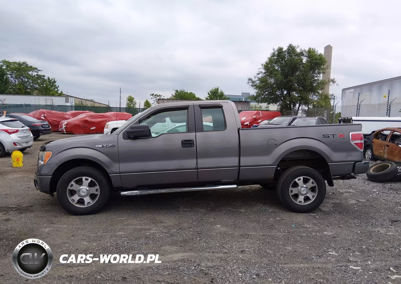 2010 Ford F-150 Stx-Xl VIN:1FTEX1EW4AFB37459 - 14
