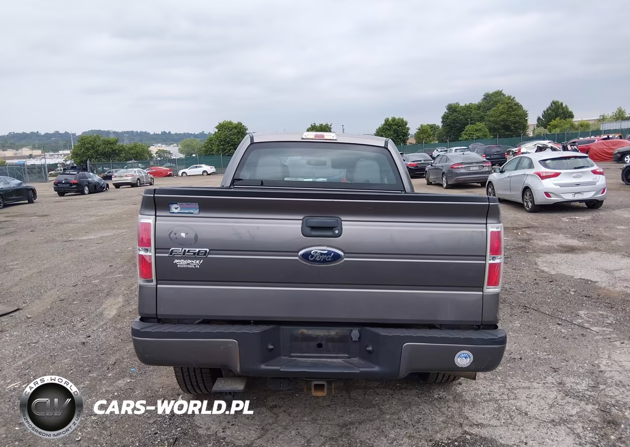 2010 Ford F-150 Stx-Xl VIN:1FTEX1EW4AFB37459 - 16