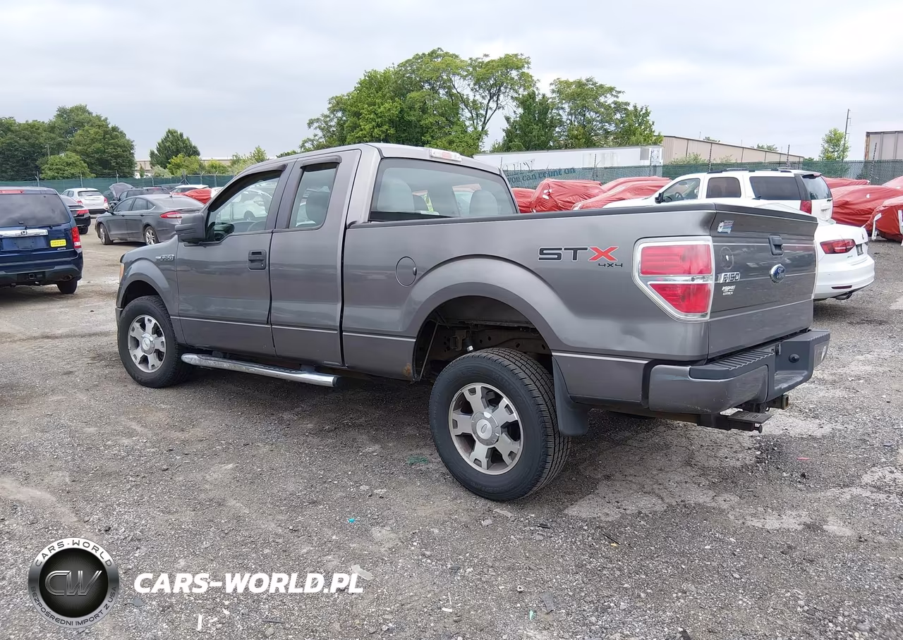 2010 Ford F-150 Stx-Xl VIN:1FTEX1EW4AFB37459 - 3