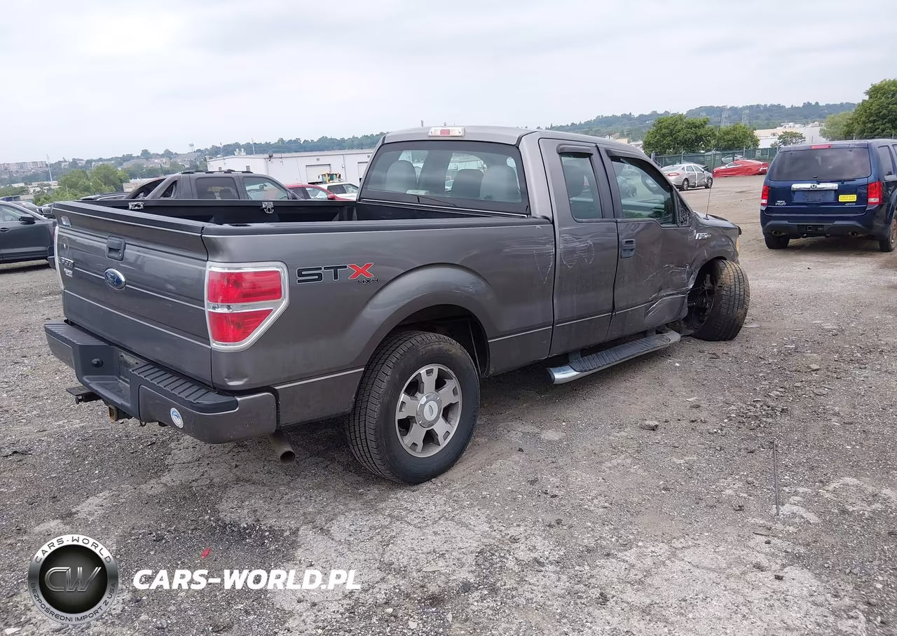 2010 Ford F-150 Stx-Xl VIN:1FTEX1EW4AFB37459 - 4