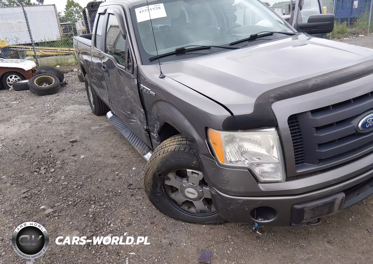 2010 Ford F-150 Stx-Xl VIN:1FTEX1EW4AFB37459 - 6