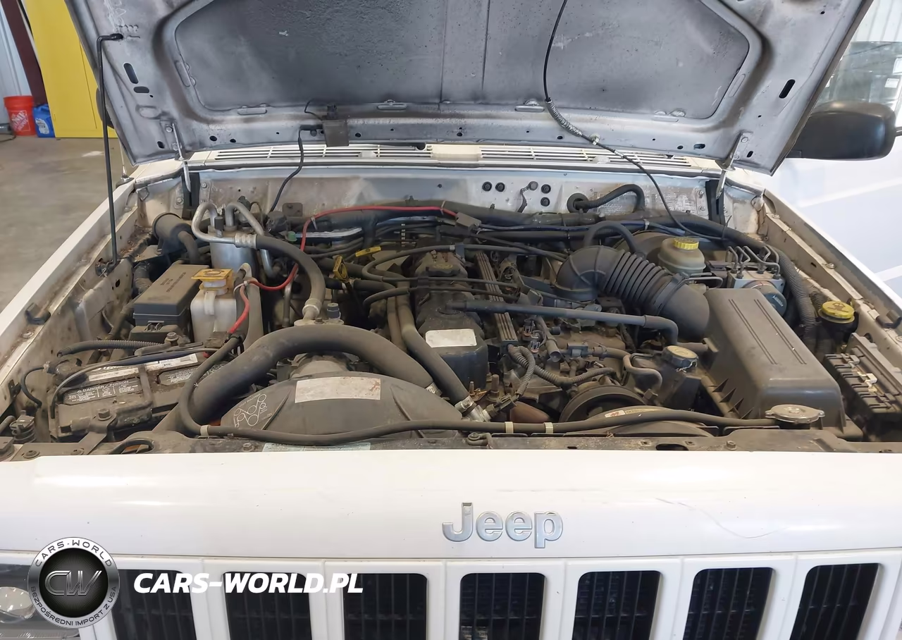2001 Jeep Cherokee Sport VIN:1J4FF48SX1L585525 - 10