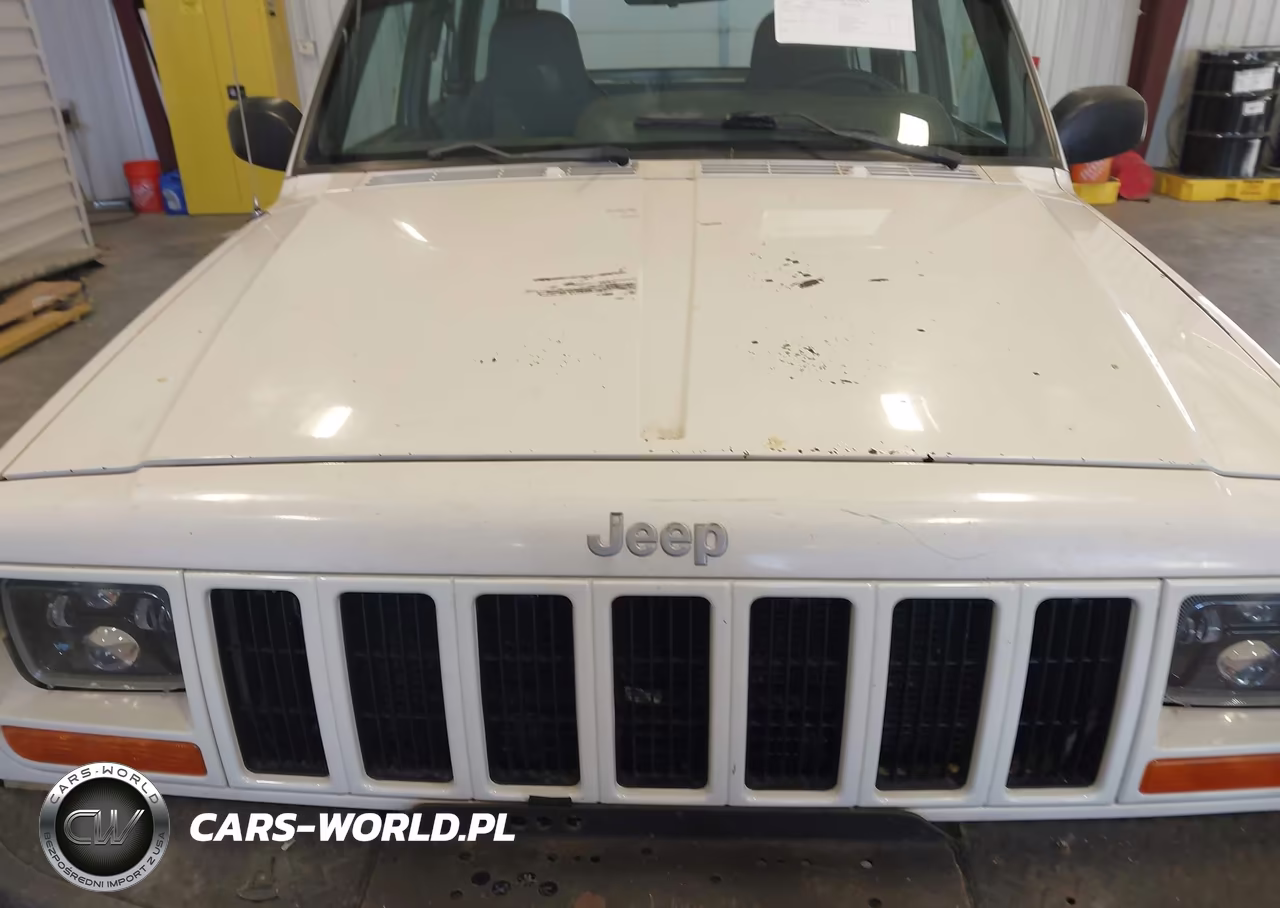 2001 Jeep Cherokee Sport VIN:1J4FF48SX1L585525 - 13