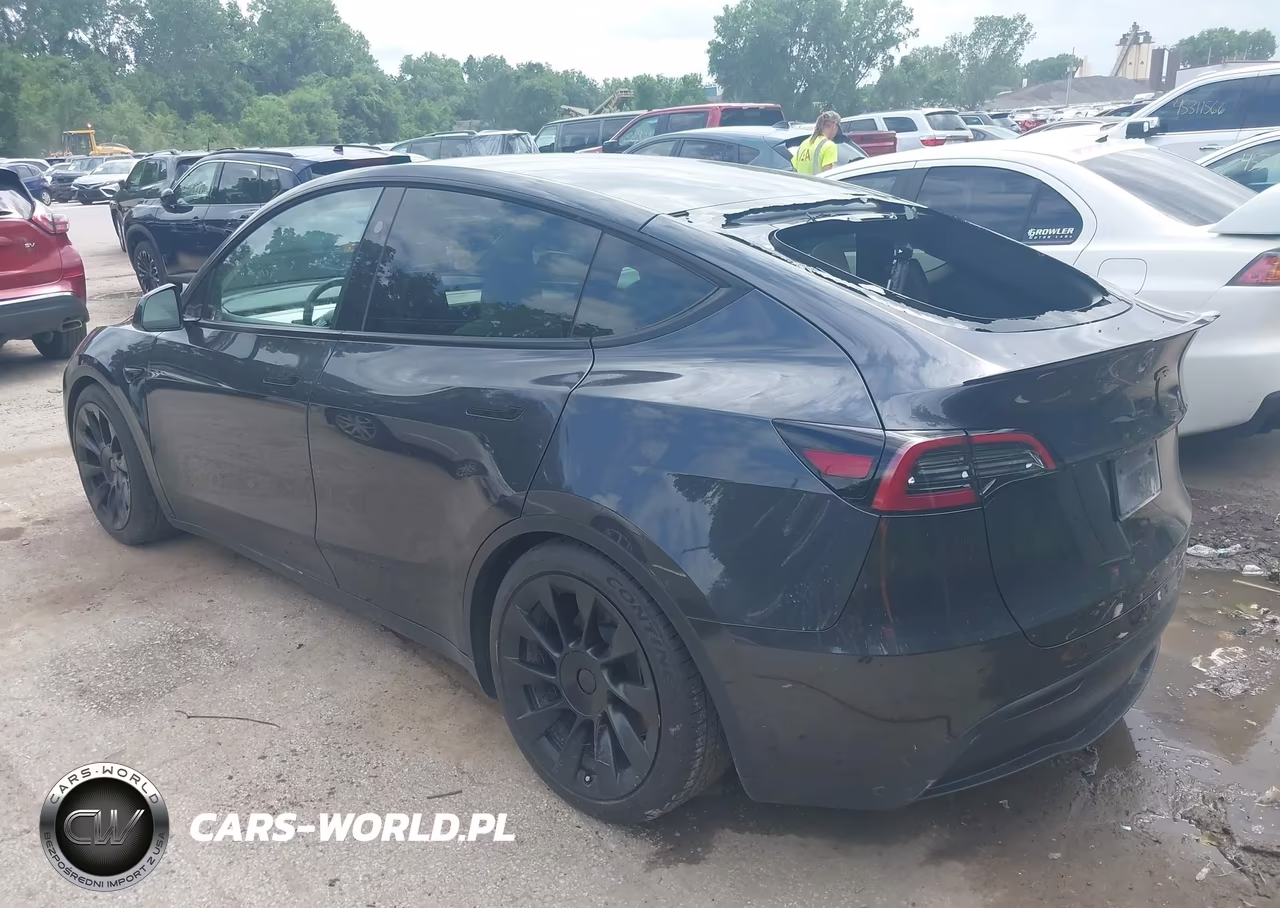 2024 Tesla Model Y Long Range Dual Motor All-Wheel Drive VIN:7SAYGDEE1RF204642 - 3