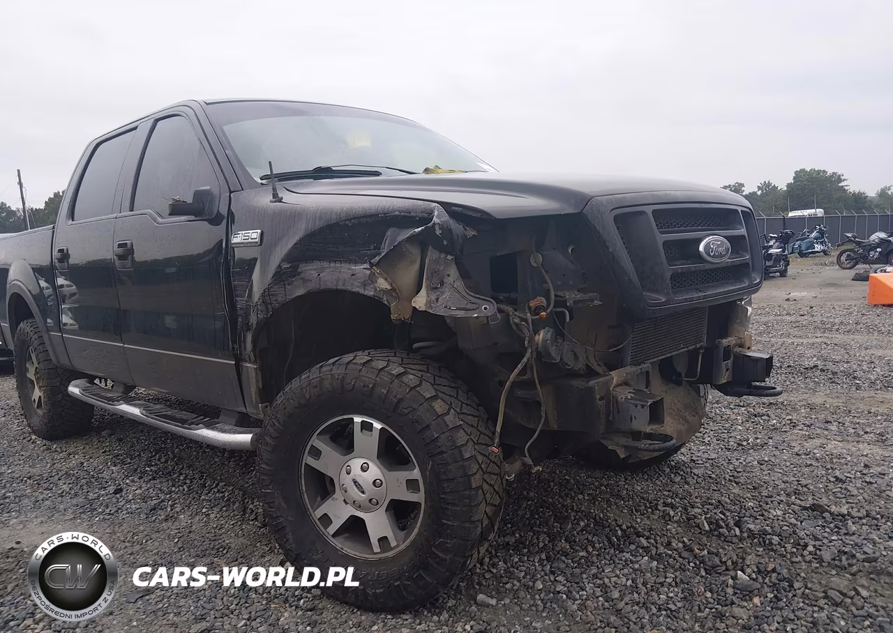 2004 Ford F-150 Fx4-Lariat-Xlt VIN:1FTPW14594KD38905 - 12