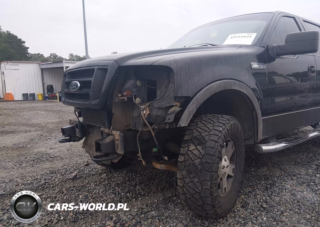 2004 Ford F-150 Fx4-Lariat-Xlt VIN:1FTPW14594KD38905 - 6