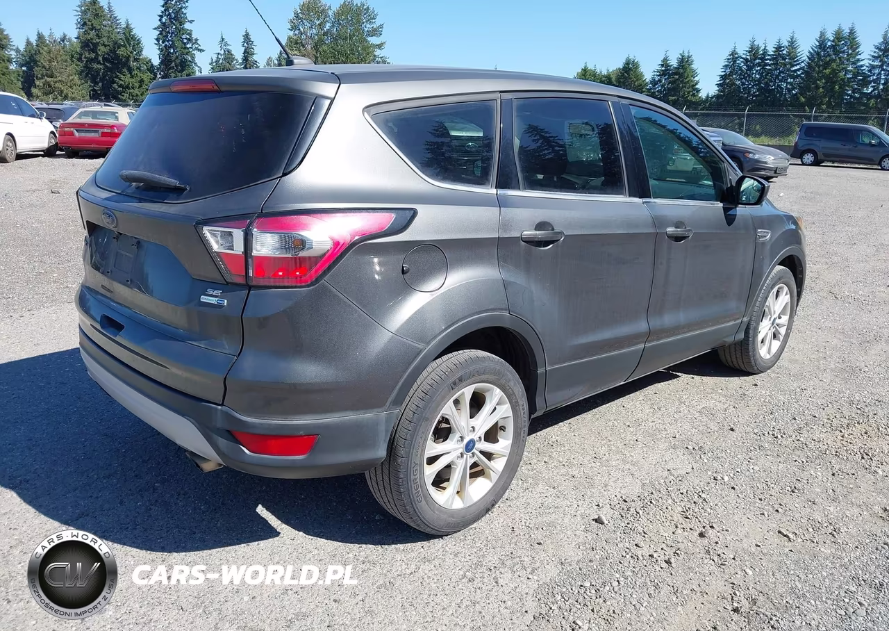 2017 Ford Escape Se VIN:1FMCU9GD7HUE50291 - 4