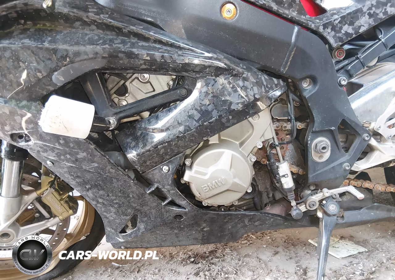 2015 BMW S 1000 Rr VIN:WB10D2108FZ351741 - 9
