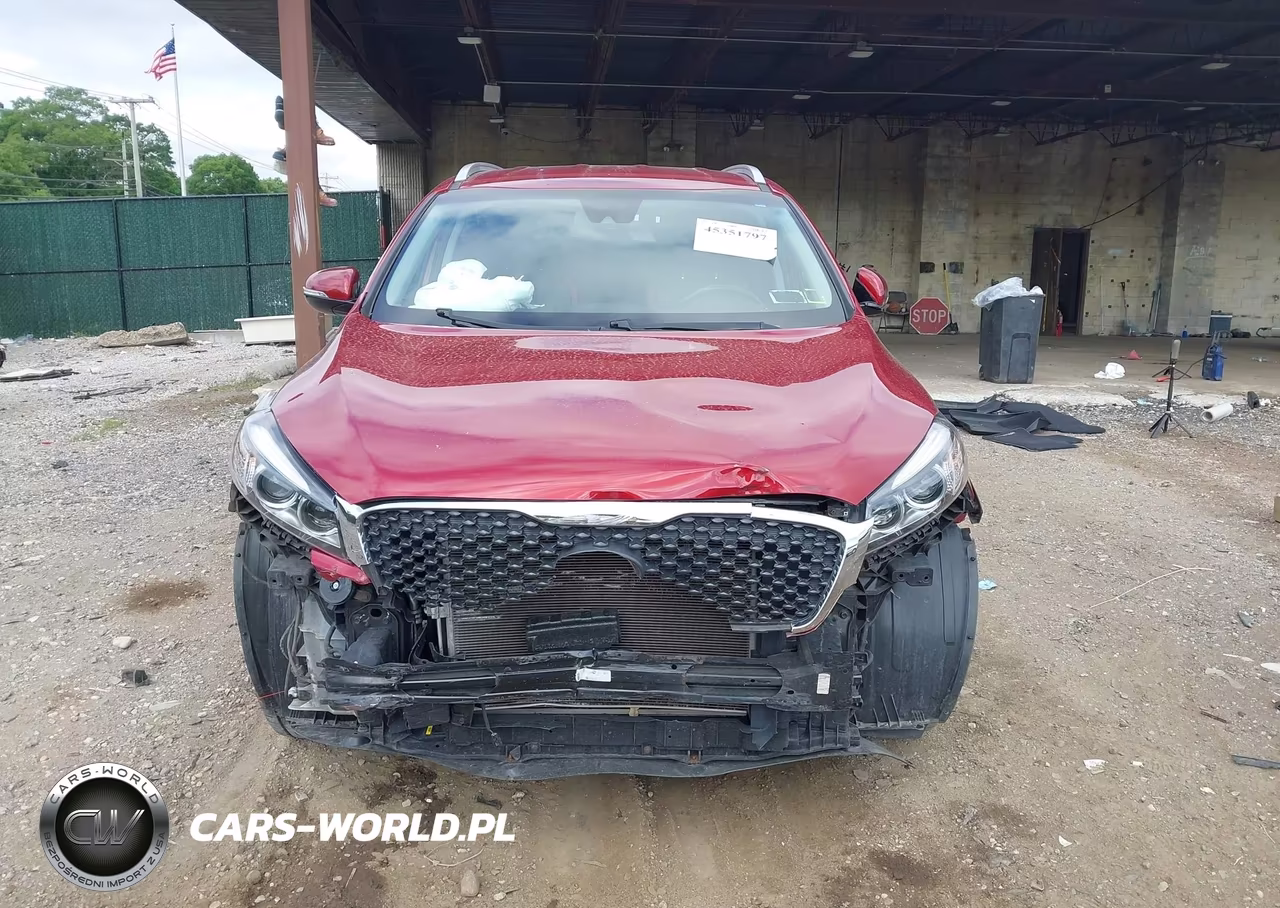 2018 Kia Sorento 2.4L Lx VIN:5XYPGDA30JG367888 - 13