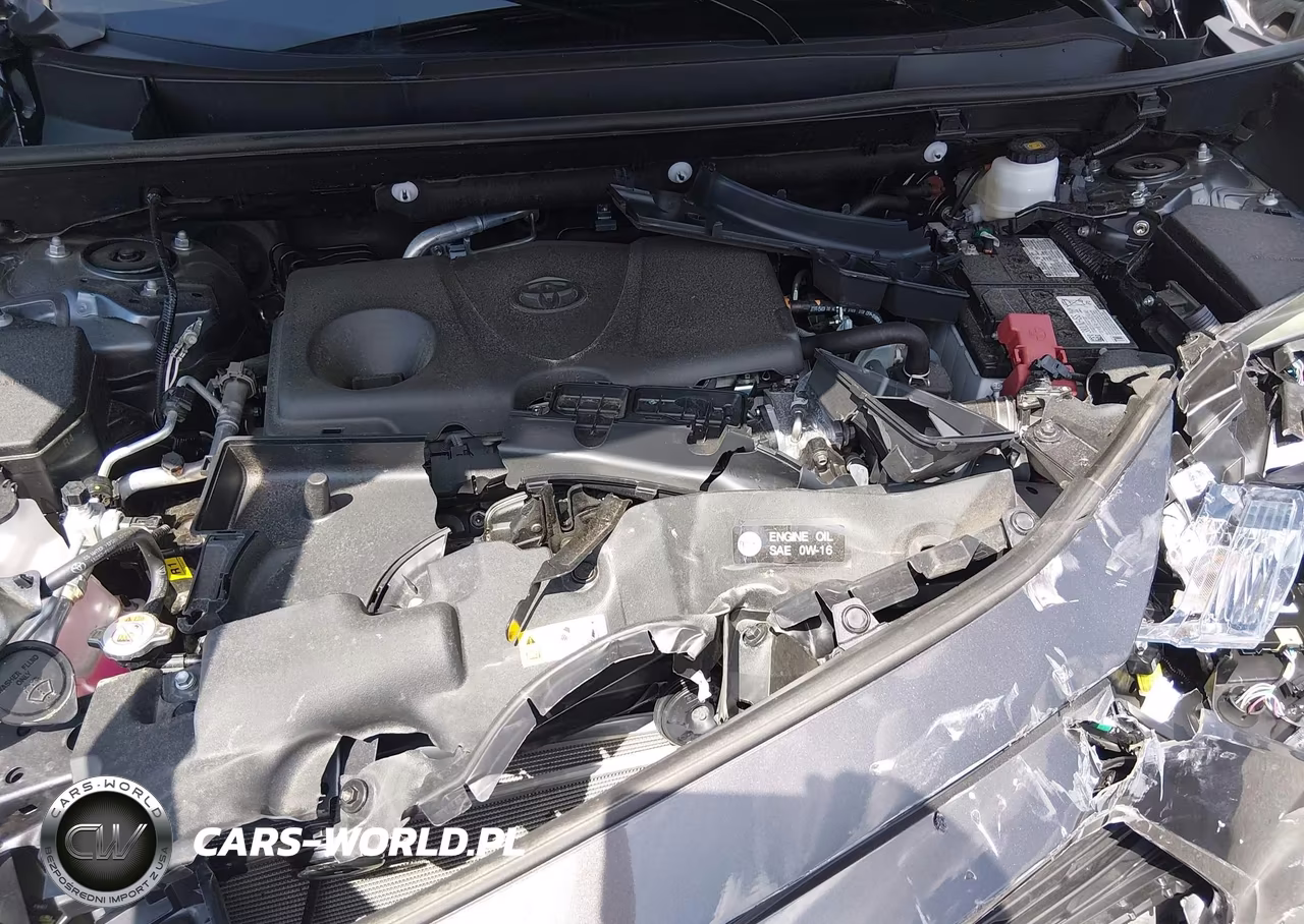 2025 Toyota Rav4 Xle VIN:2T3P1RFV5SW546617 - 10