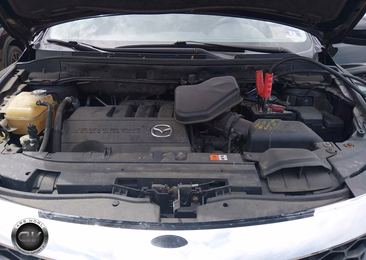 2010 Mazda Cx-9 Touring VIN:JM3TB3MV5A0238014 - 10