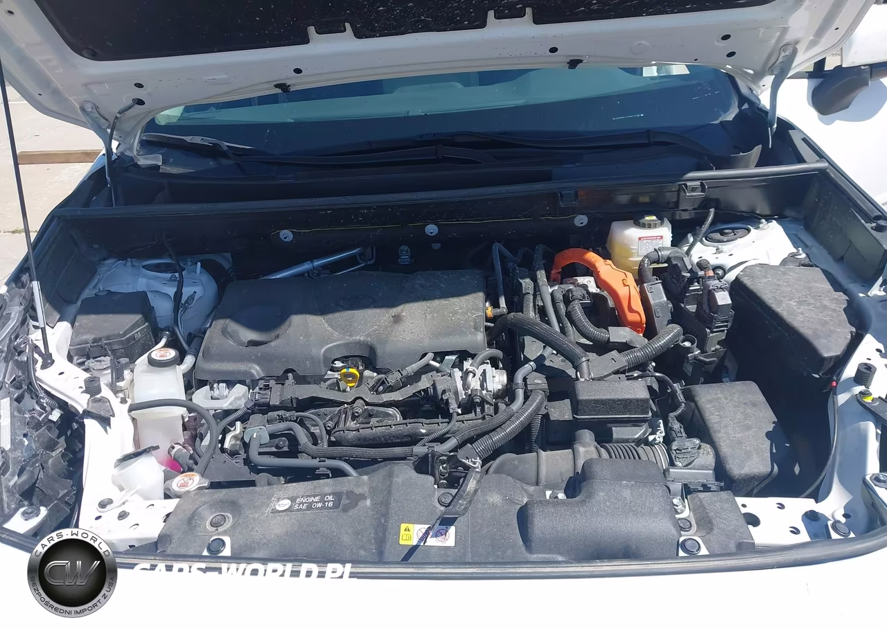 2025 Toyota Rav4 Hybrid Xle VIN:JTMRWRFV1SD313700 - 10